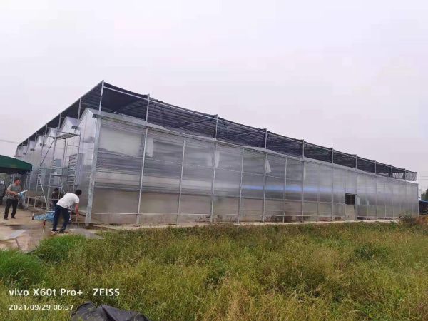 PC陽光板溫室