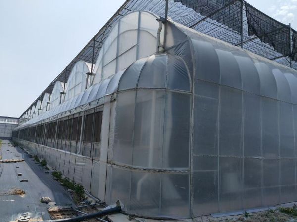 薄膜溫室