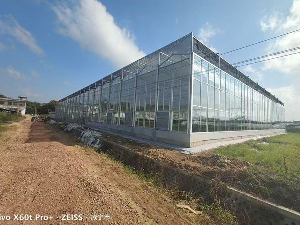 玻璃溫室